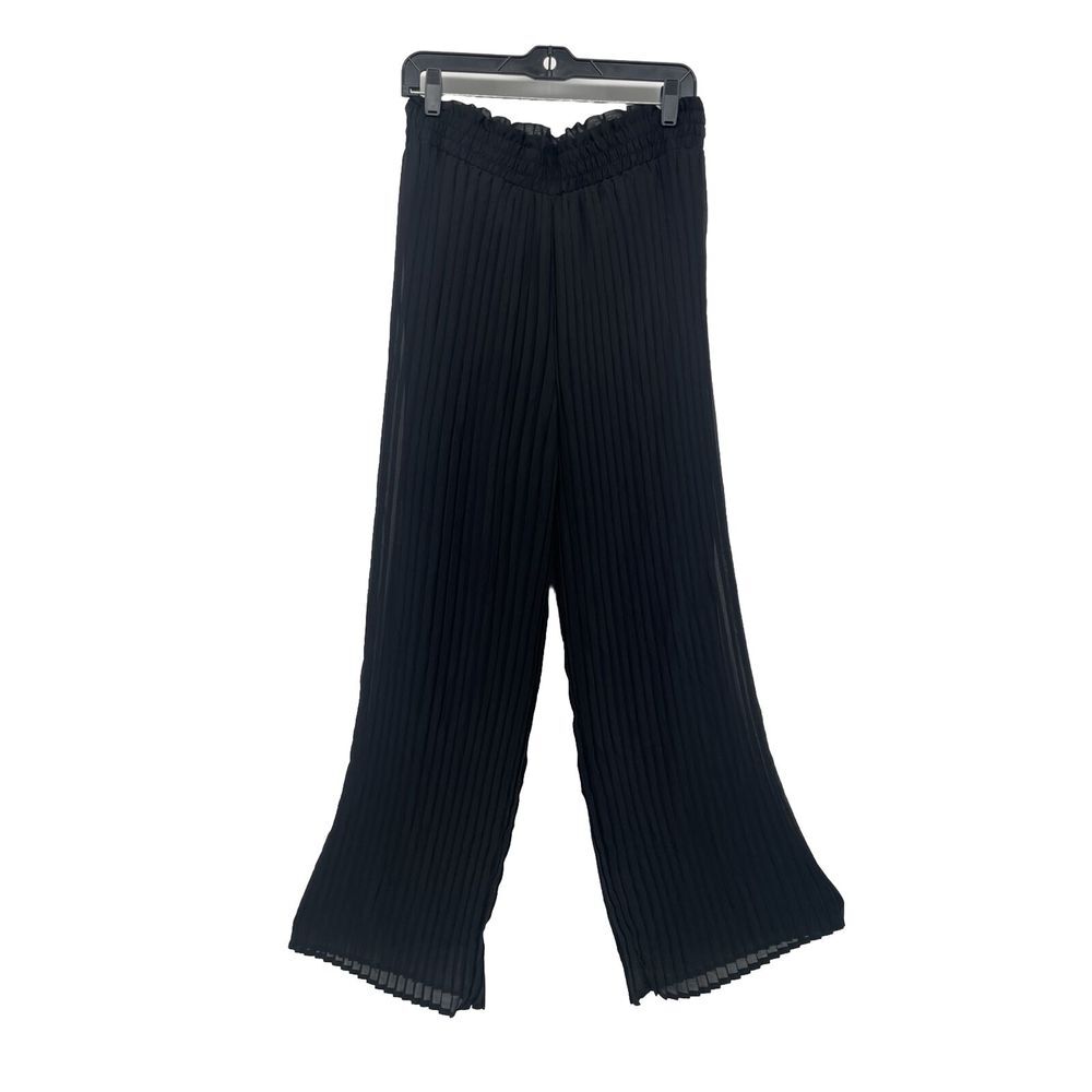 Japna Black Pleated Palazzo Pants